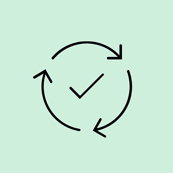 icon system check
